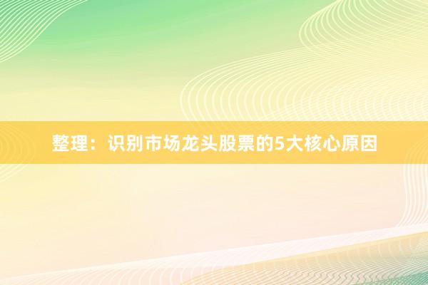 整理：识别市场龙头股票的5大核心原因