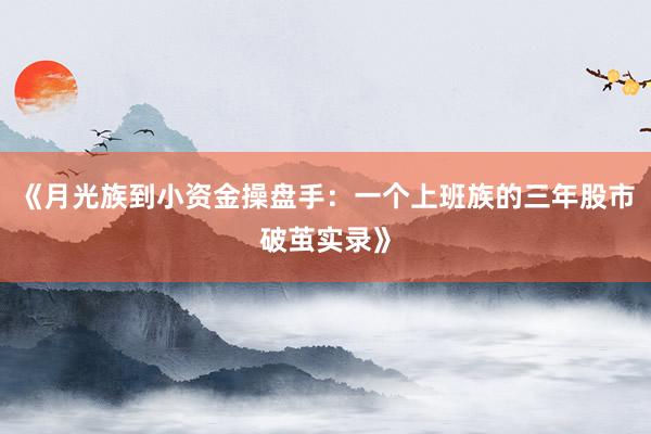 《月光族到小资金操盘手：一个上班族的三年股市破茧实录》