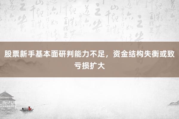 股票新手基本面研判能力不足，资金结构失衡或致亏损扩大
